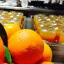 Marmellata di Arance Orange Marmalade Agriturismo Il Melograno Alberese Grosseto Toscana parco della Maremma